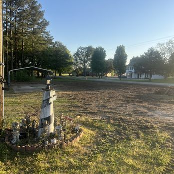 Advanced Tree Pros - Tree Services Near Me