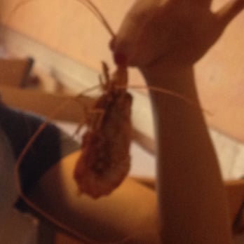 The Cajun Crawfish - Cajun/Creole Near Me - Seattle, Washington The Cajun Crawfish - Cajun/Creole Near Me - Seattle, Washington