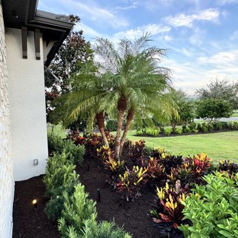 Critter Ridge Landscape Contractors - Landscape Architects or Designers Near Me - Sarasota, Florida Critter Ridge Landscape Contractors - Landscape Architects or Designers Near Me - Sarasota, Florida