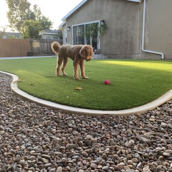 Elite Artificial Grass - Cooper's private dog park. - Artificial Turf Near Me - Brea, California