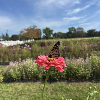 Willow View Farm - Farms Near Me - Suffield, Connecticut