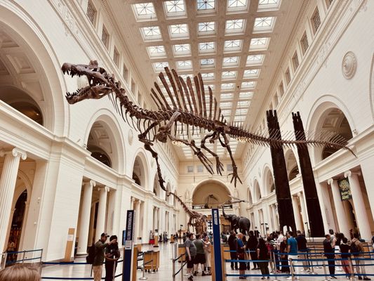 Field Museum by null Field Museum by null