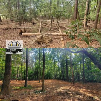 Barked Up Forestry Mulching - barked up - Excavation Services Near Me - Conover, North Carolina Barked Up Forestry Mulching - barked up - Excavation Services Near Me - Conover, North Carolina
