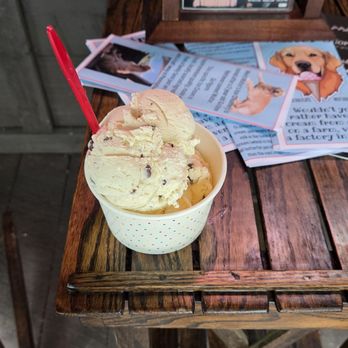 Weird Walter's Ice Creamery - Smores (small) - Ice Cream & Frozen Yogurt Near Me - Big Flats, New York