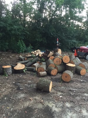 Crazy Ron's BBQ by null