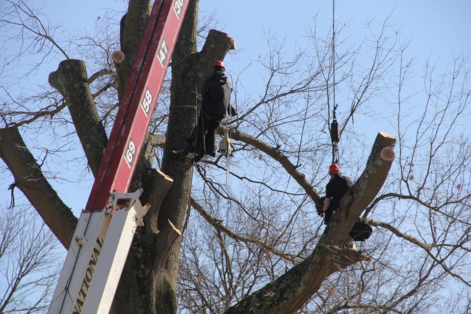 Climb-Ax Tree & Crane Service - tree service in Louisville, KY