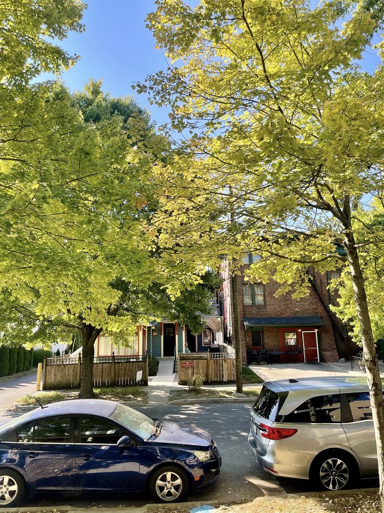 Wild Geese Bookshop Logo