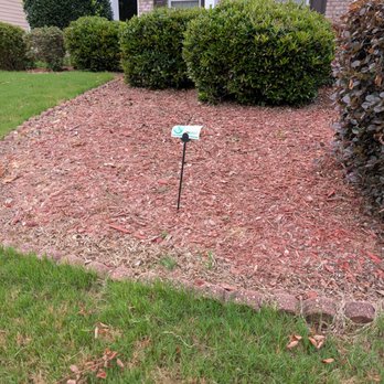 TruGreen Lawn Care - Tree Services Near Me - Acworth, Georgia TruGreen Lawn Care - Tree Services Near Me - Acworth, Georgia