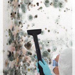 Chase Environmental Asbestos,Lead and Mold Removal