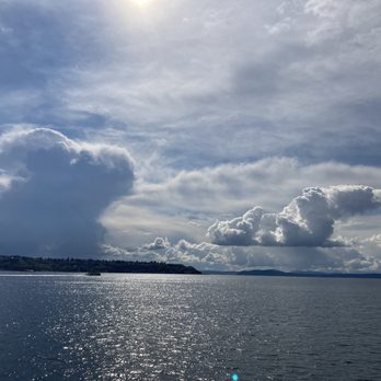 Argosy Cruises - Seattle - View from the tour - Boat Charters Near Me - Seattle, Washington Argosy Cruises - Seattle - View from the tour - Boat Charters Near Me - Seattle, Washington