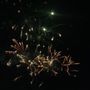 Photo of Lutz Family Fireworks Celebration