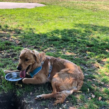 Greenwood Dog Park Entrance Fee