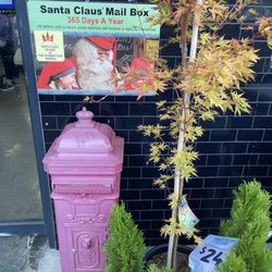 Harris Farm Markets Bowral - Santa Claus' Mail Box