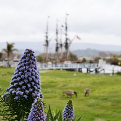 Port of Redwood City Public Fishing Pier