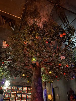 Wild Orange at HB Social Club by null