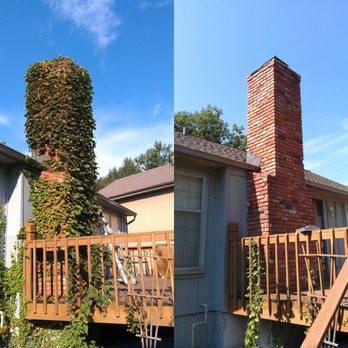 Lakeside Chimney - Vine removal - Chimney Sweeps Near Me