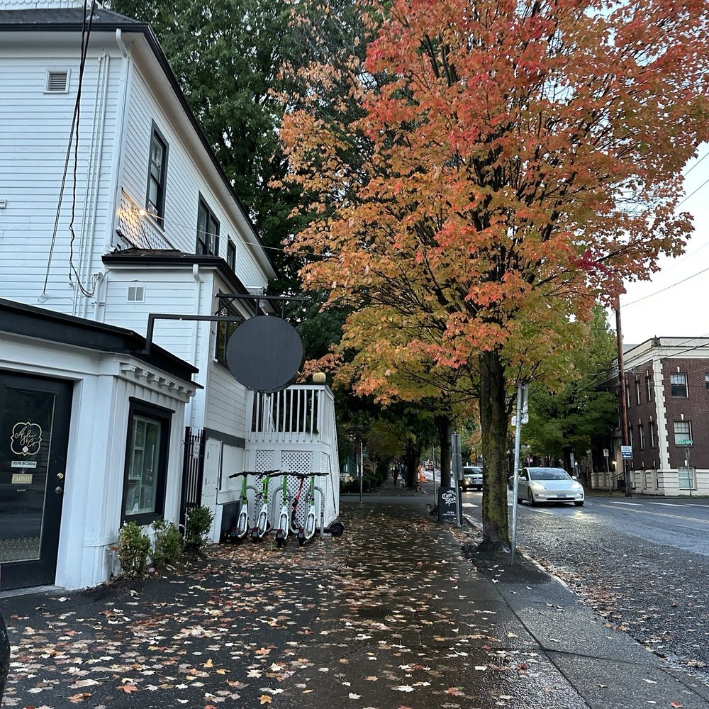 Case Study Coffee - Pretty fall leaves - Coffee Roasteries Near Me - Portland, Oregon