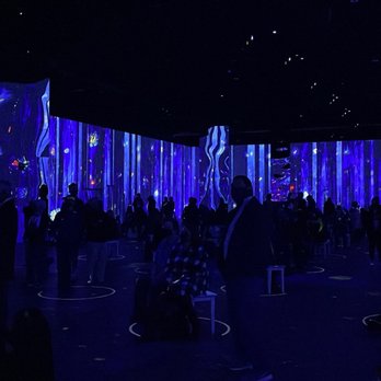 Immersive Van Gogh Exhibit Columbus - Museums Near Me - Columbus, Ohio