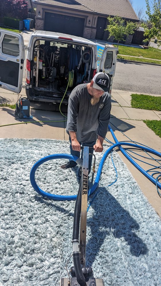 ACE CARPET CLEANING & WINDOW WASHING Updated August 2024 75 Photos