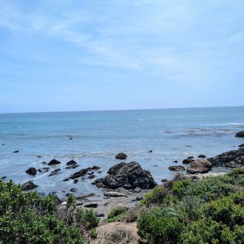 Elephant Seal Vista Point - Beaches Near Me - San Simeon, California Elephant Seal Vista Point - Beaches Near Me - San Simeon, California