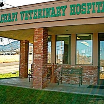 Tehachapi Veterinary Hospital - Veterinarians Near Me - Tehachapi, California Tehachapi Veterinary Hospital - Veterinarians Near Me - Tehachapi, California