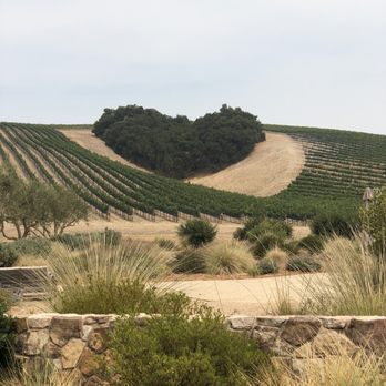 Niner Wine Estates - Another one of the heart hill - Wine Tasting Room Near Me - Paso Robles, California Niner Wine Estates - Another one of the heart hill - Wine Tasting Room Near Me - Paso Robles, California