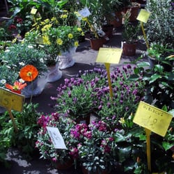 Marché aux Fleurs du Prado - Vue d'ensemble