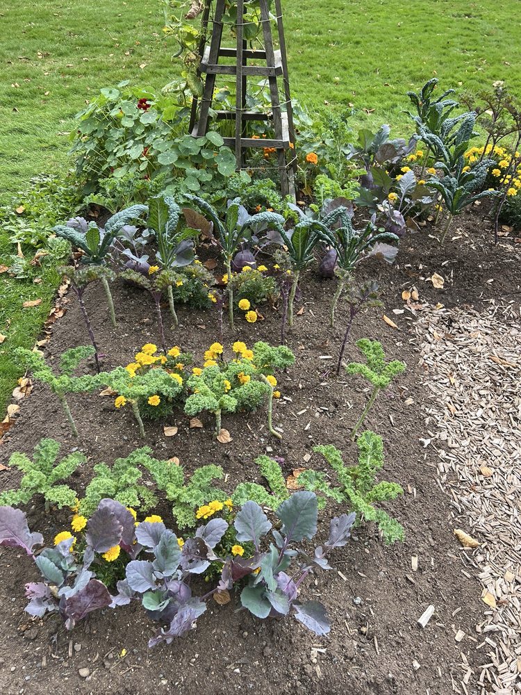 Halifax Public Gardens