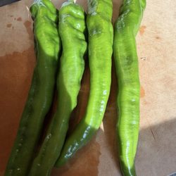 silverton farm - The long hot peppers were epic this year . Sometimes they aren't hot these were perfect