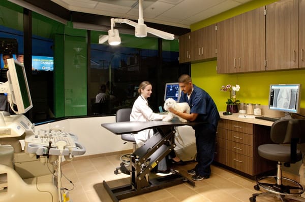 VCA WEST LOS ANGELES ANIMAL HOSPITAL 202 Photos &amp; 953