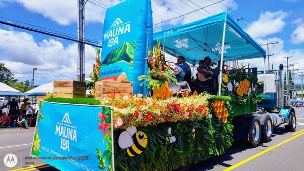 Mauna Loa Macadamia Nut Visitor Center by null