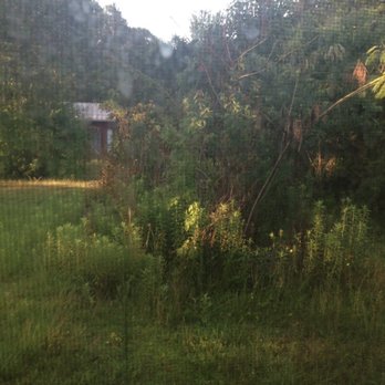 Vision Landscape and Tree Service - Over grown shrubs and ditch and fence - Tree Services Near Me - Jacksonville, Florida Vision Landscape and Tree Service - Over grown shrubs and ditch and fence - Tree Services Near Me - Jacksonville, Florida