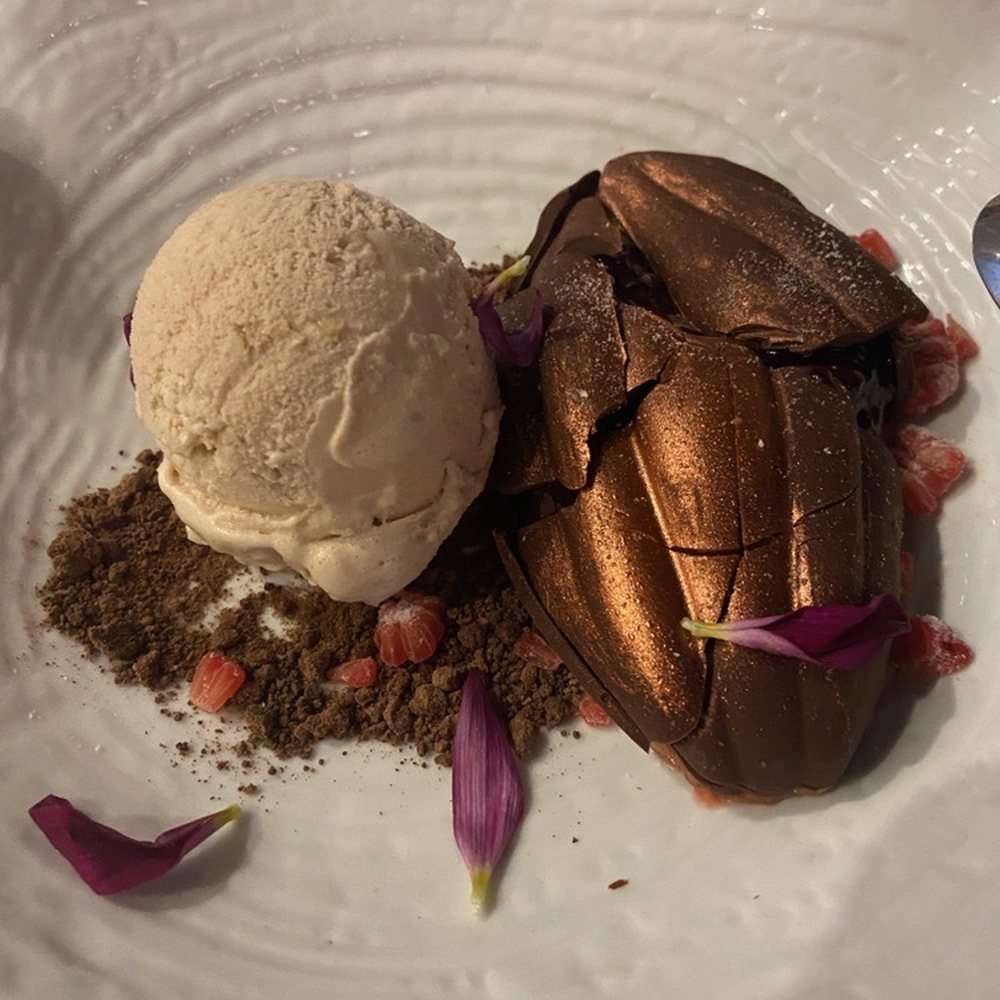 Hector's Kitchen - Oaxaca chocolate raspberry mousse with homemade ice cream - Signature Cuisine Near Me - Punta de Mita, NAY Hector's Kitchen - Oaxaca chocolate raspberry mousse with homemade ice cream - Signature Cuisine Near Me - Punta de Mita, NAY