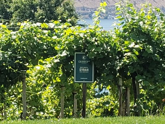 Cairdeas Winery by null