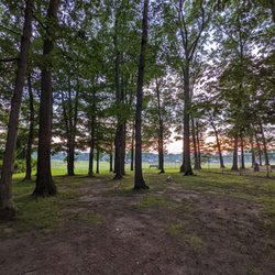 Back of the gated dog park