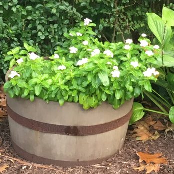 Green Sheep Landscaping - a planter with white flowers - Landscaping Near Me Green Sheep Landscaping - a planter with white flowers - Landscaping Near Me