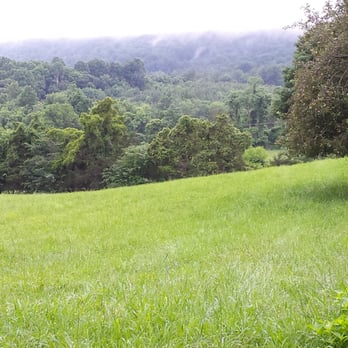 Prospect Hill Inn - Wandering the property - Bed & Breakfast Near Me - Louisa, Virginia
