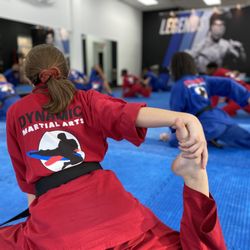 Dynamic Martial Arts
