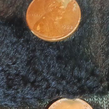 The Numismatic Gallery - Hobby Shops Near Me - Cartersville, Georgia
