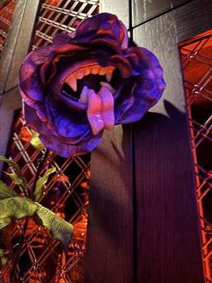 Weiss Distilling Co. by null