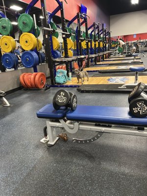 Crunch Fitness - Abilene by null