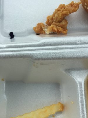 Raising Cane's Chicken Fingers by null