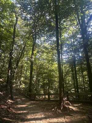 P. J. Hoffmaster State Park by null