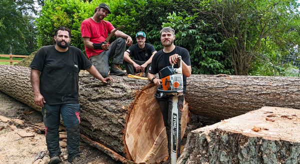 GUILTY OF TREESON - Updated February 2026 - Request a Quote - Enumclaw ...