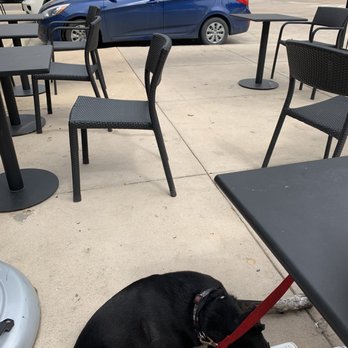 Dogtopia Houston-Galleria - Enjoying a relaxing day at Starbucks, never would have been possible without Ana and her training. - Pet Boarding Near Me - Houston, Texas Dogtopia Houston-Galleria - Enjoying a relaxing day at Starbucks, never would have been possible without Ana and her training. - Pet Boarding Near Me - Houston, Texas