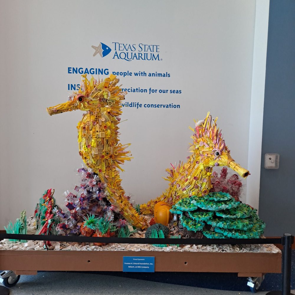 Texas State Aquarium - Is art from trash - Aquariums Near Me - Corpus Christi, Texas Texas State Aquarium - Is art from trash - Aquariums Near Me - Corpus Christi, Texas