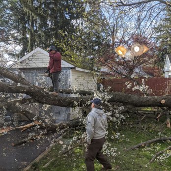 Total Turf Landscape Services - Too actually ended up on neighbor's house. - Snow Removal Near Me - Chalfont, Pennsylvania Total Turf Landscape Services - Too actually ended up on neighbor's house. - Snow Removal Near Me - Chalfont, Pennsylvania