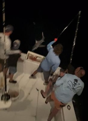 Sailors Choice Party Fishing Boat & Anglers Choice Sport Fishing private Charters by null