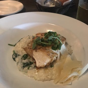Bella Bella - Grouper and Lemon Spinach Risotto Special - Italian Near Me - Tallahassee, Florida Bella Bella - Grouper and Lemon Spinach Risotto Special - Italian Near Me - Tallahassee, Florida