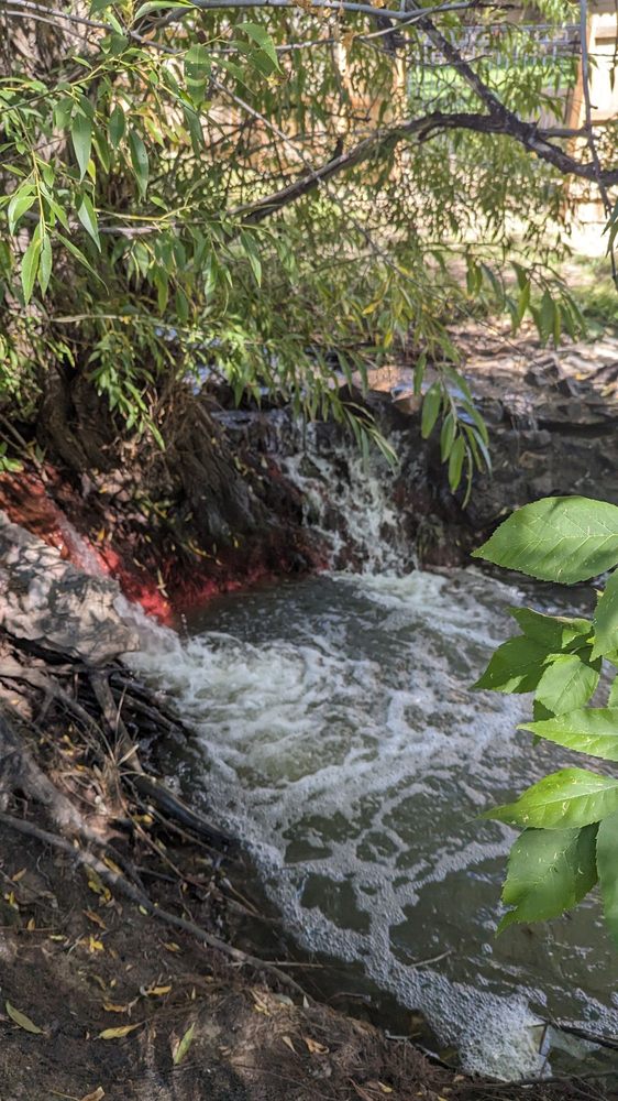 RACOON HOLLAR NATURE PARK 5685 W Leawood Dr, Littleton, Colorado